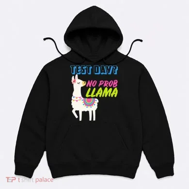 Test Day? No Probllama Hoodie