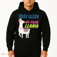 Test Day? No Probllama  Hoodie thumb 2