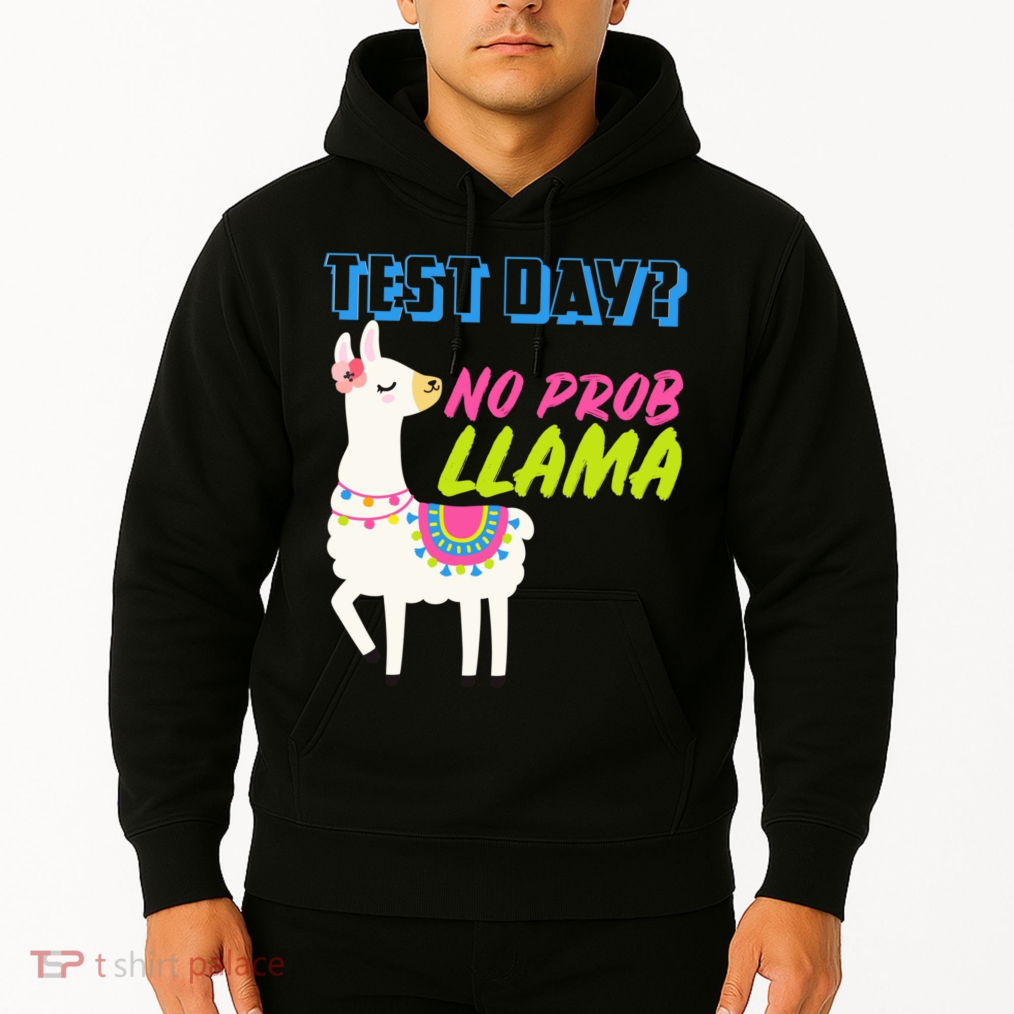 Test Day? No Probllama  Hoodie