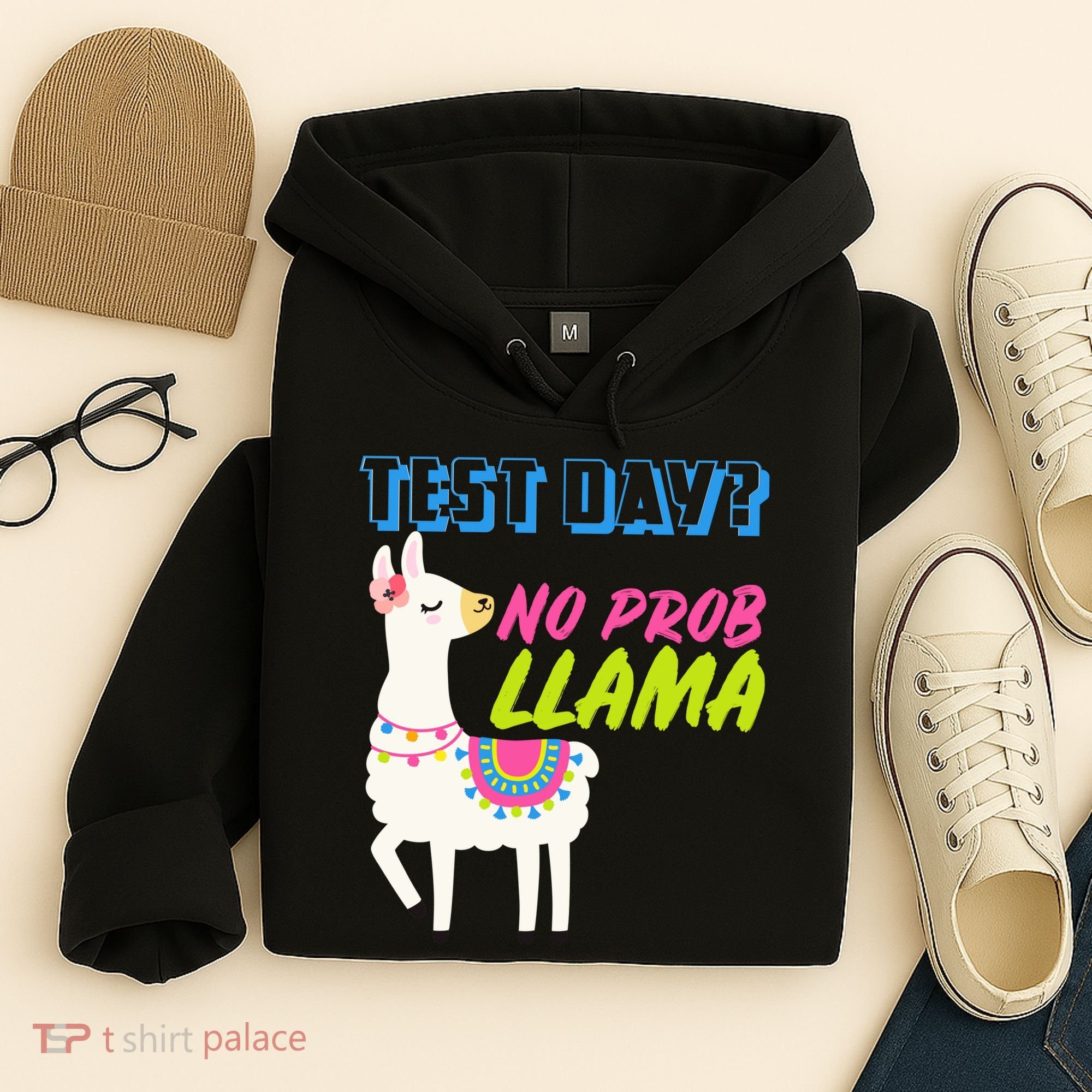 Test Day? No Probllama  Hoodie