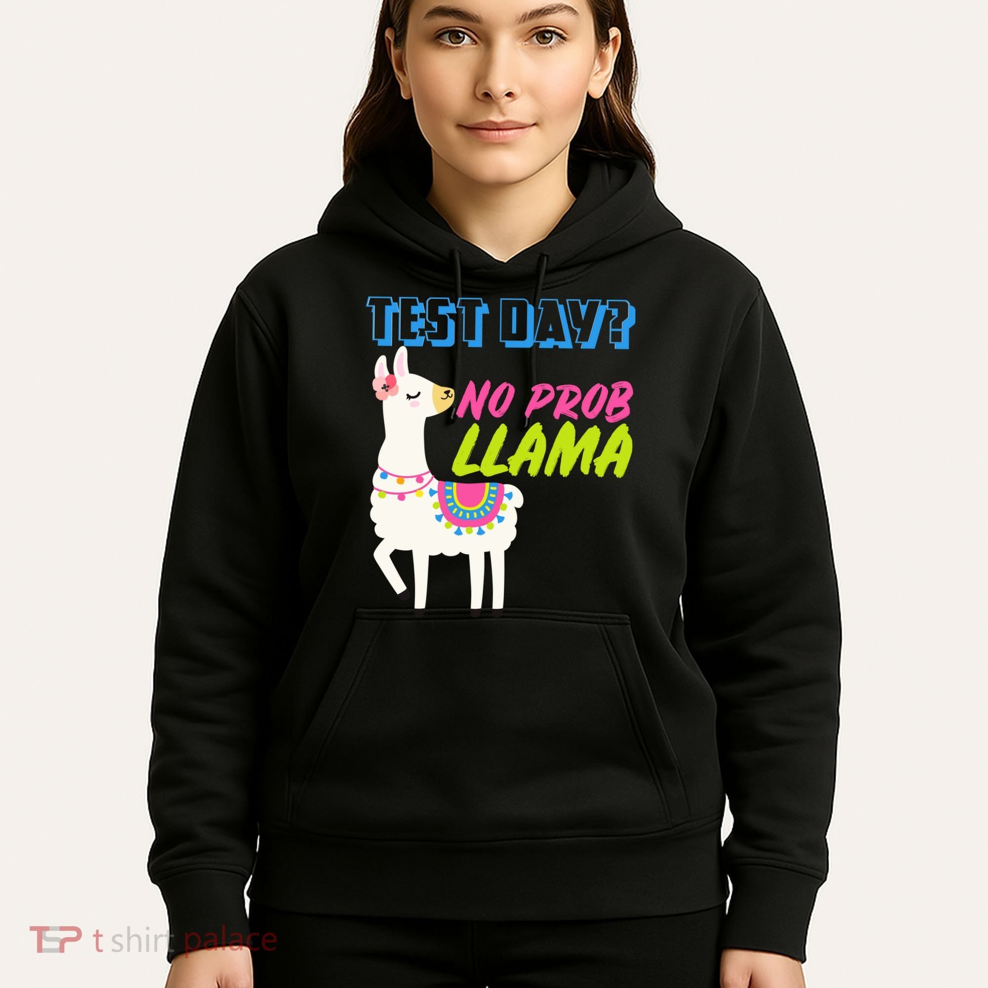 Test Day? No Probllama  Hoodie