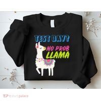 Test Day? No Probllama  Sweatshirt thumb 2