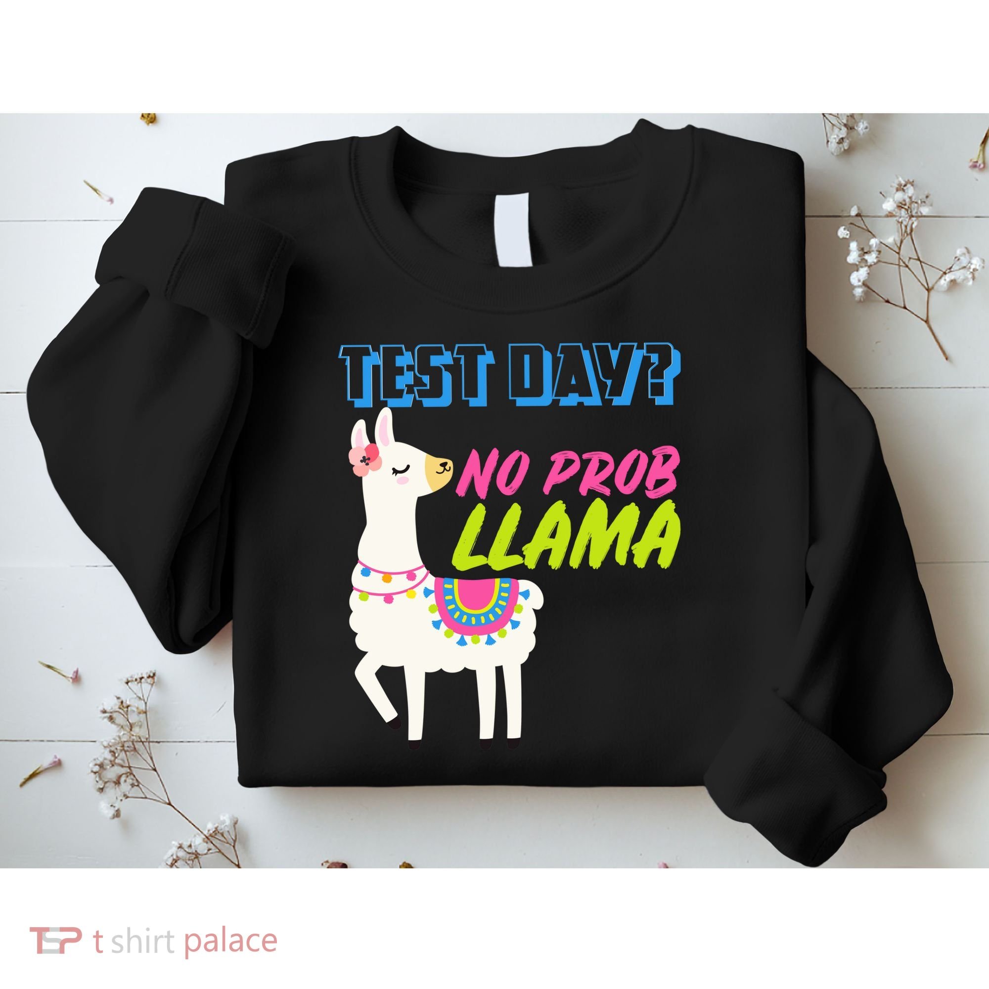 Test Day? No Probllama  Sweatshirt