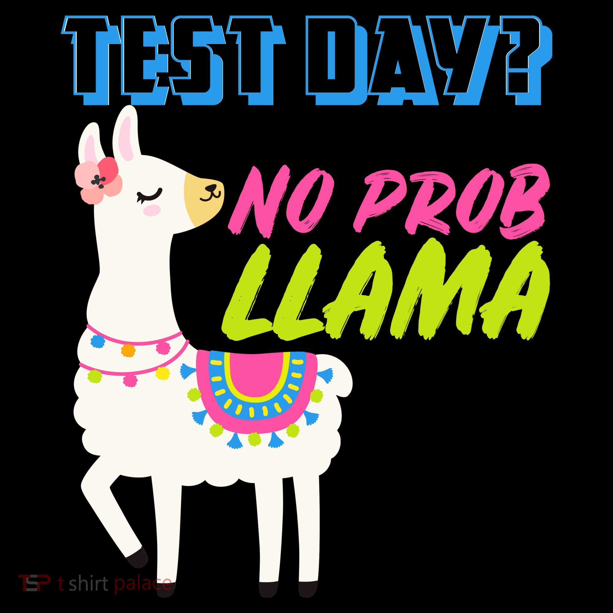 Test Day? No Probllama  Sweatshirt