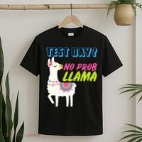Test Day? No Probllama  T-Shirt thumb 2
