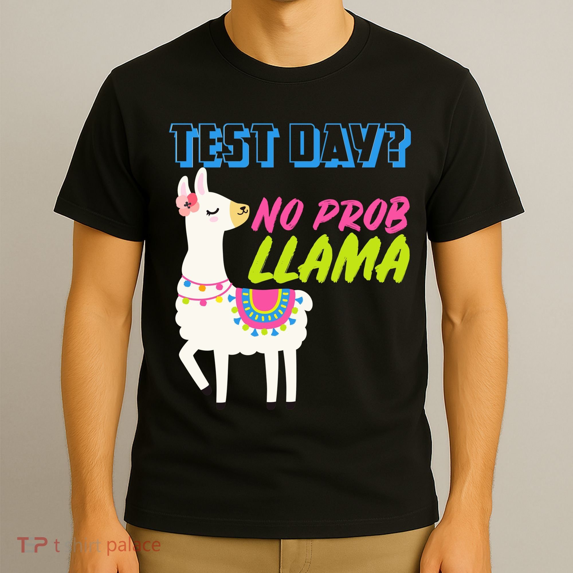 Test Day? No Probllama  T-Shirt