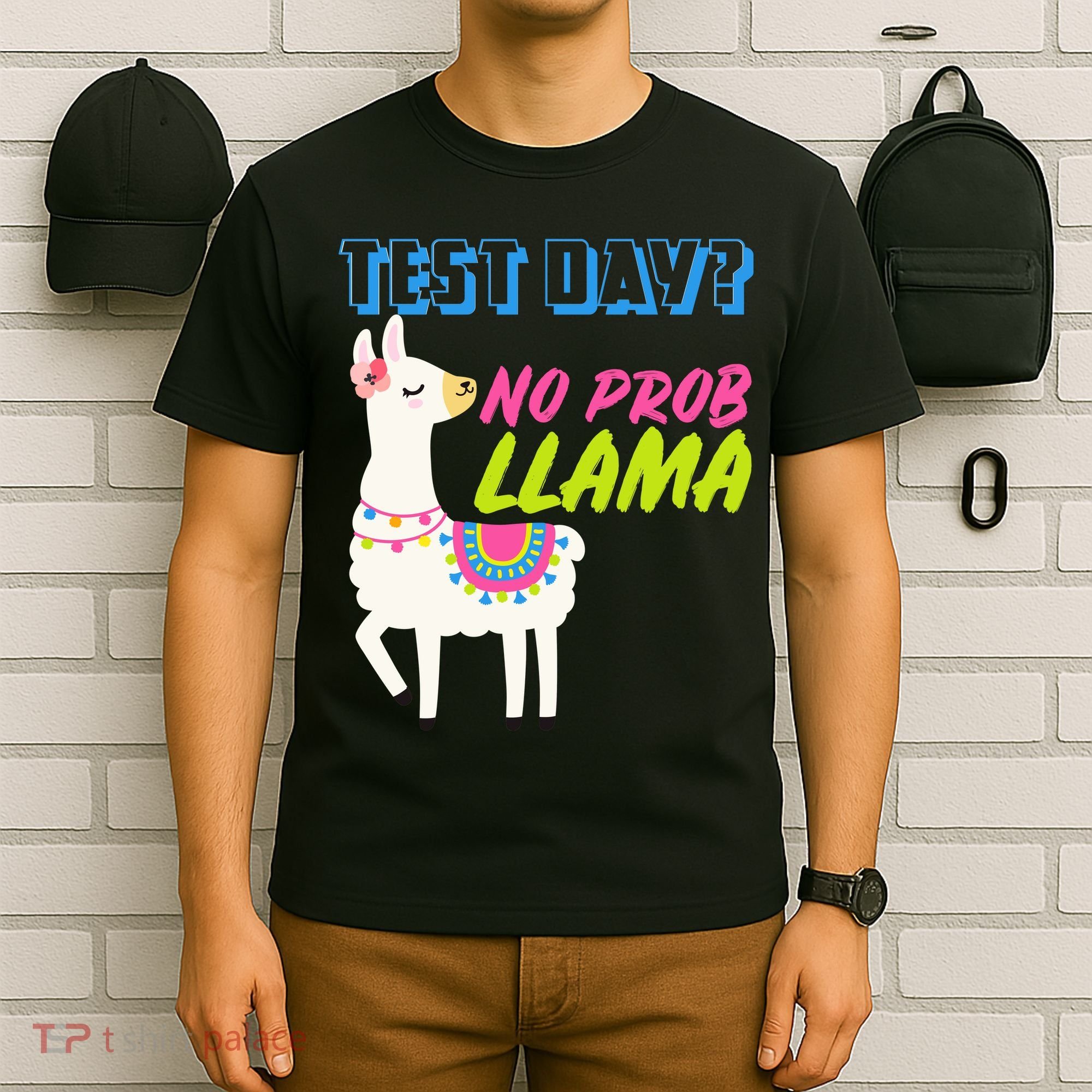 Test Day? No Probllama  T-Shirt