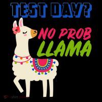 Test Day? No Probllama  Coffee Mug thumb 5