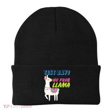 Test Day? No Probllama  Beanie