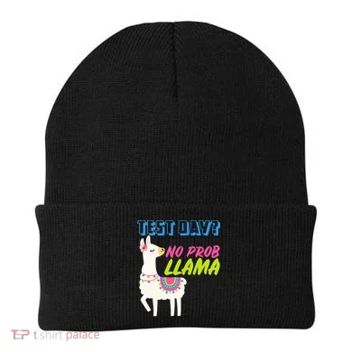 Test Day? No Probllama Beanie