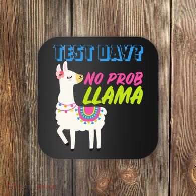Test Day? No Probllama  Coaster
