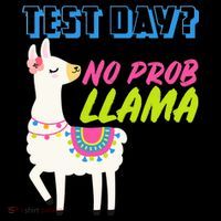 Test Day? No Probllama  Women's Hoodie thumb 2