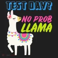Test Day? No Probllama  Tumbler thumb 3