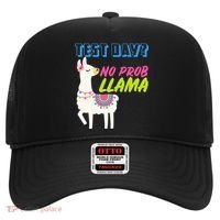 Test Day? No Probllama  Hat thumb 0