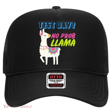 Test Day? No Probllama Hat