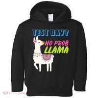 Test Day? No Probllama  Toddler Hoodie thumb 0