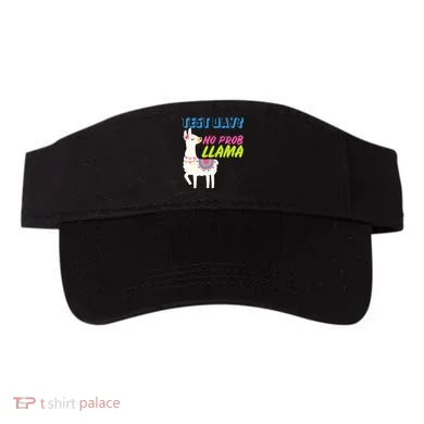 Test Day? No Probllama  Visor