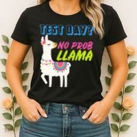 Test Day? No Probllama  Women's T-Shirt thumb 2