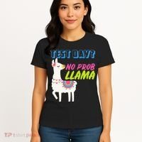 Test Day? No Probllama  Women's T-Shirt thumb 4