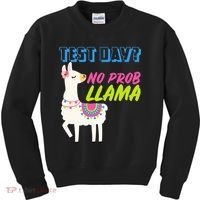 Test Day? No Probllama  Kids Sweatshirt thumb 0