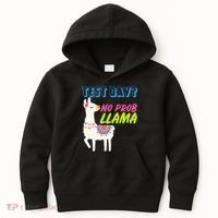 Test Day? No Probllama  Kids Hoodie thumb 0