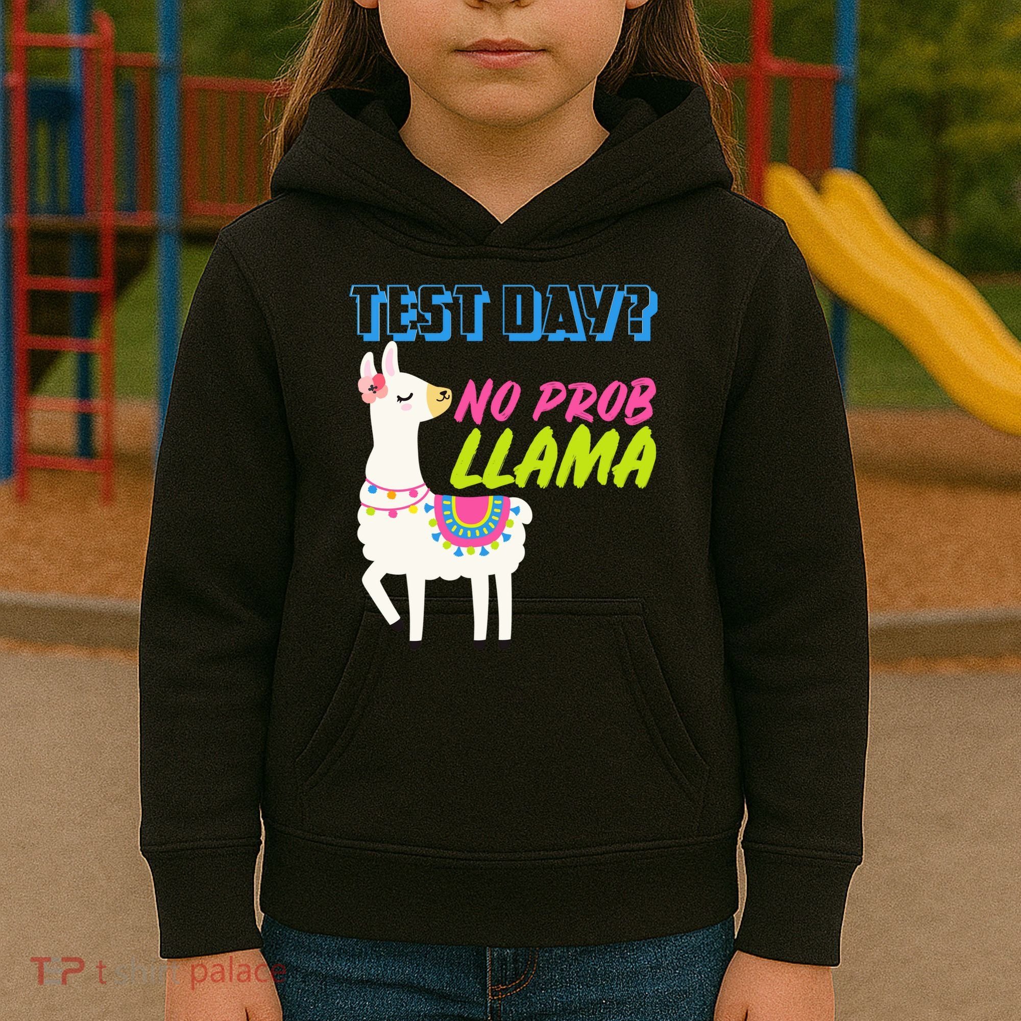 Test Day? No Probllama  Kids Hoodie