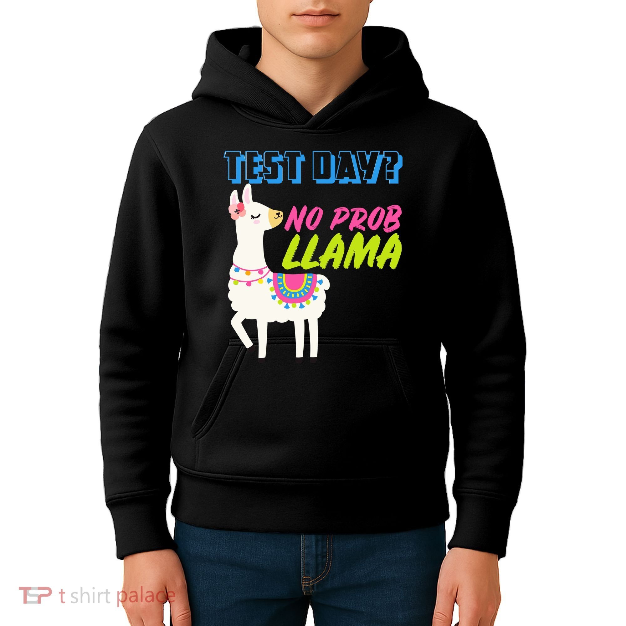 Test Day? No Probllama  Kids Hoodie