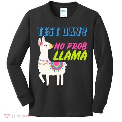 Test Day? No Probllama  Kids Long Sleeve Shirt
