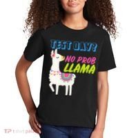 Test Day? No Probllama  Kids T-Shirt thumb 2