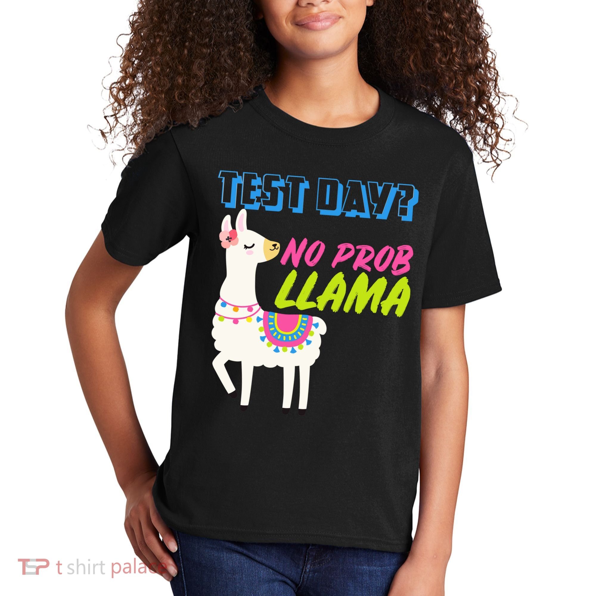 Test Day? No Probllama  Kids T-Shirt