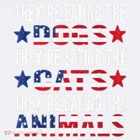 TheyRe Eating The Dogs TheyRe Eating The Cats And Animals Women's Hoodie thumb 2