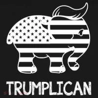 Trumplican Elephant Bucket Hat thumb 4