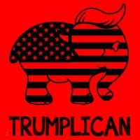 Trumplican Elephant Santa Hat thumb 1
