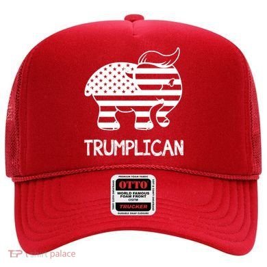 Trumplican Elephant Hat