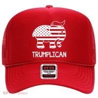 Trumplican Elephant Hat thumb 0