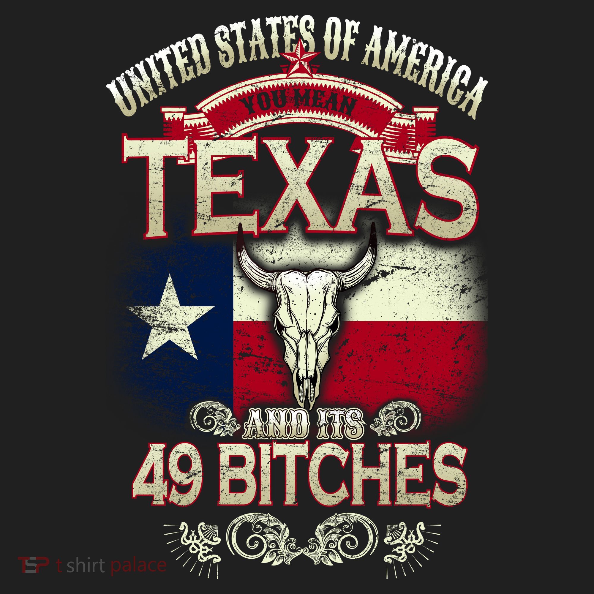 Texas And Its 49 Bitches Beanie