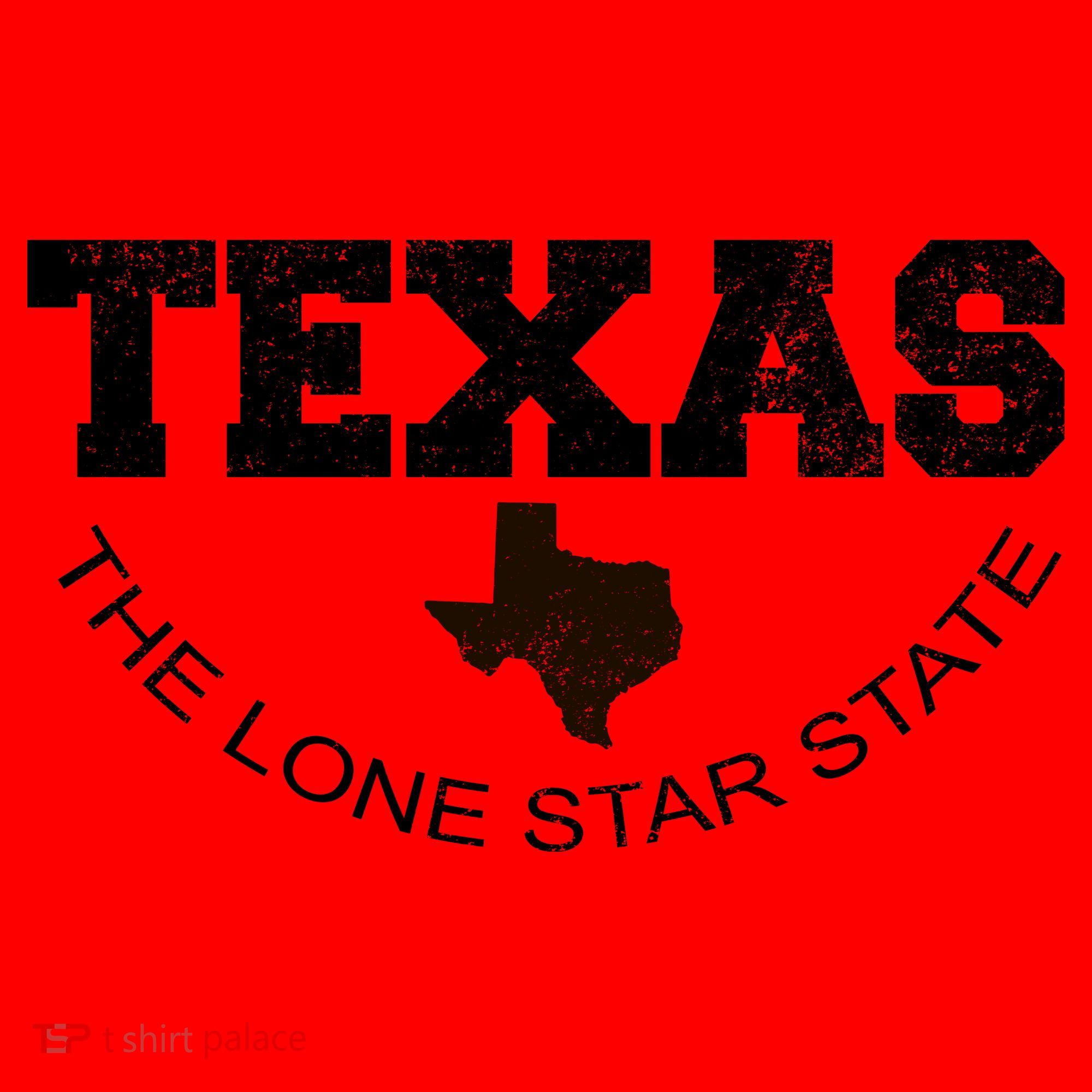 Texas Lone Star State Santa Hat
