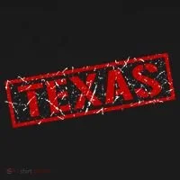 Texas Stamp of Approval Distressed Women's T-Shirt thumb 6