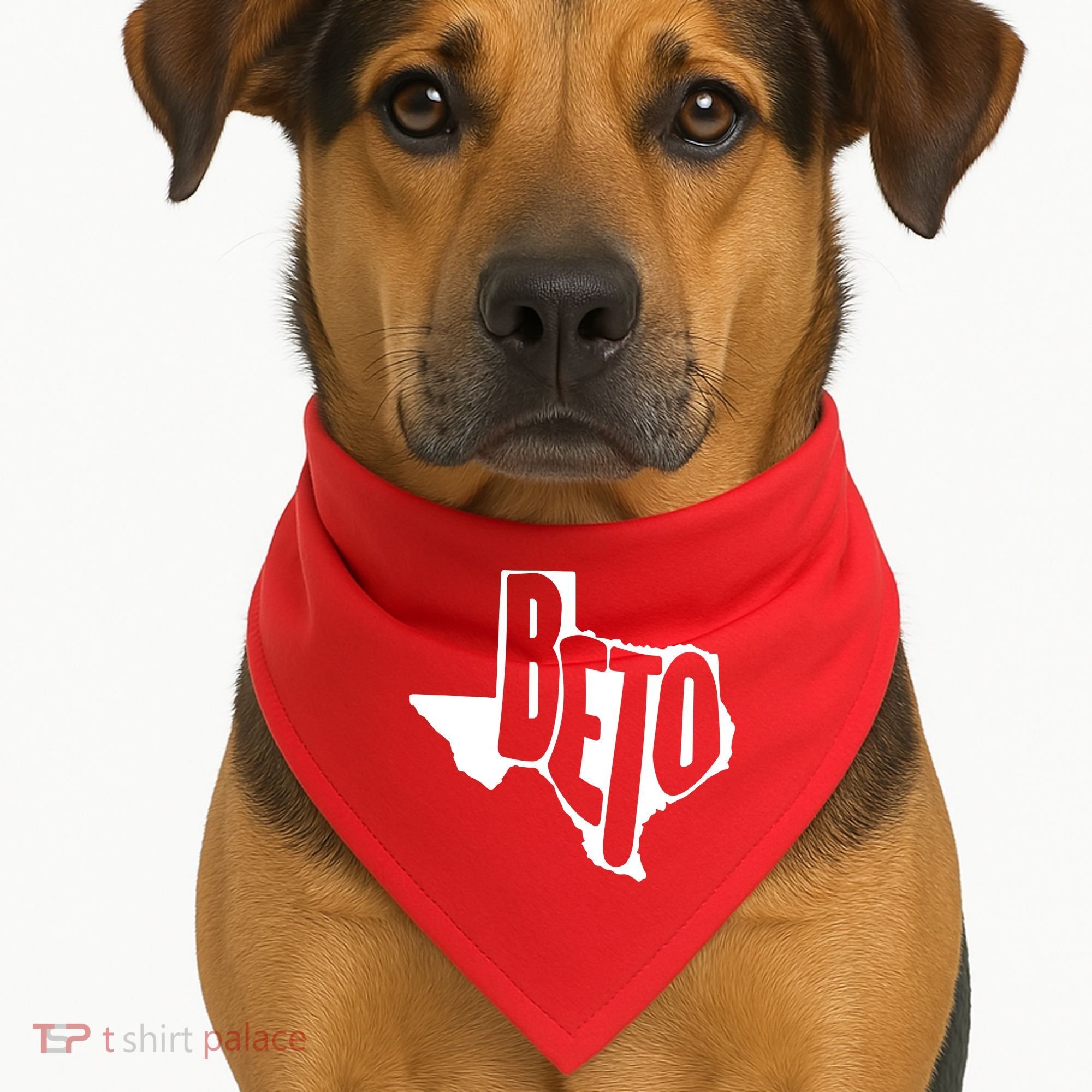 Texas State Beto For Senate USA-Made Doggie Bandana