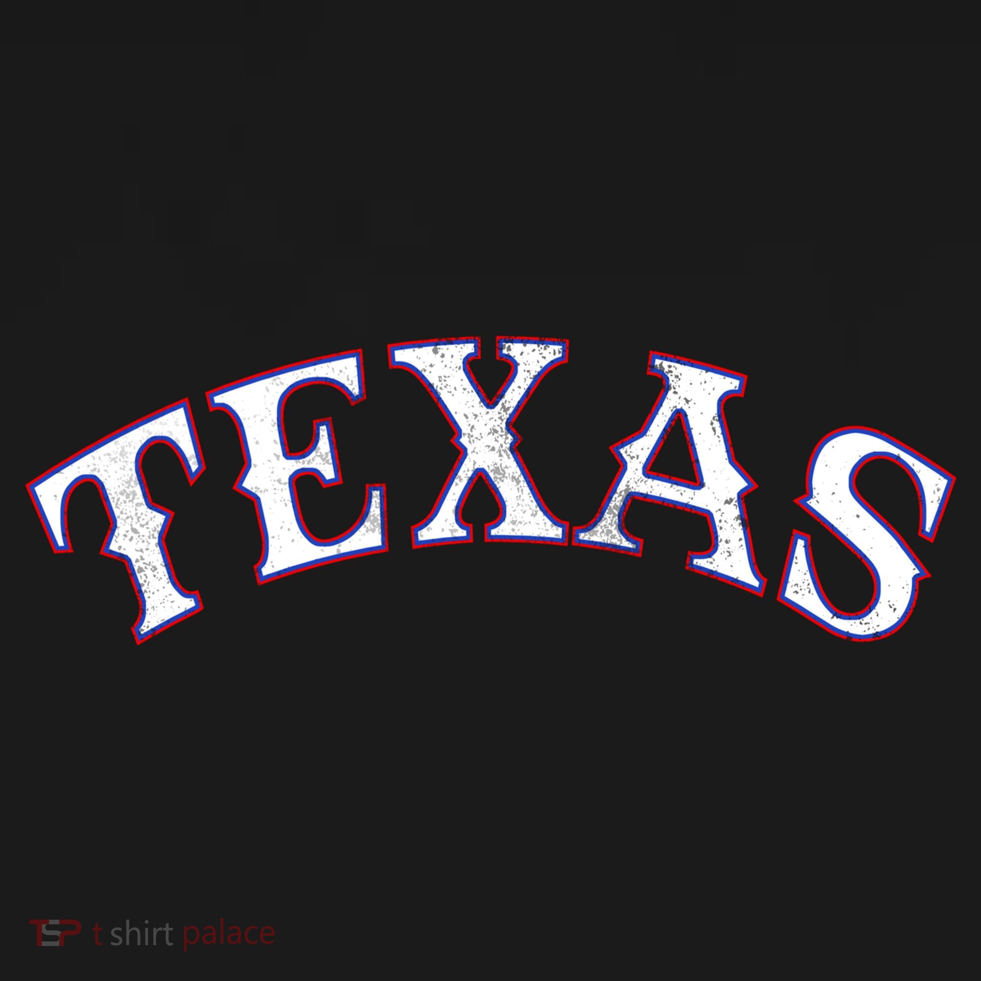 Texas Vintage Classic Logo Long Sleeve Shirt
