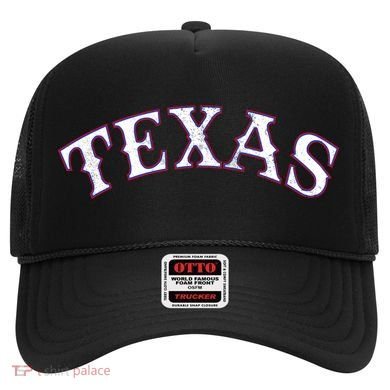 Texas Vintage Classic Logo Hat