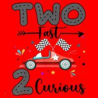 Two Fast 2 Curious Racing 2nd Birthday gift Santa Hat thumb 1