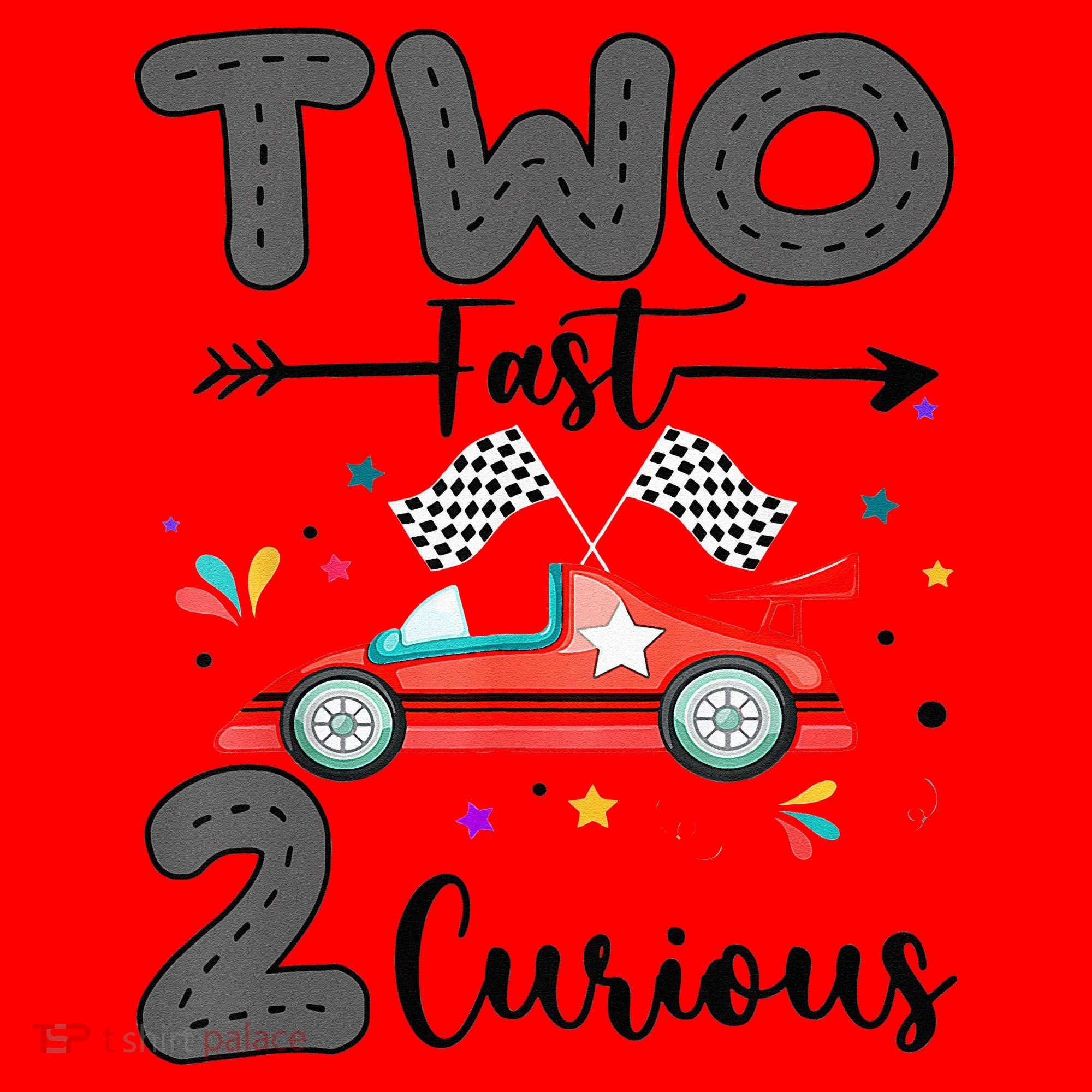 Two Fast 2 Curious Racing 2nd Birthday gift Santa Hat