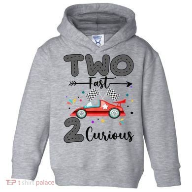 Two Fast 2 Curious Racing 2nd Birthday gift Toddler Hoodie