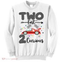 Two Fast 2 Curious Racing 2nd Birthday gift Sweatshirt thumb 0
