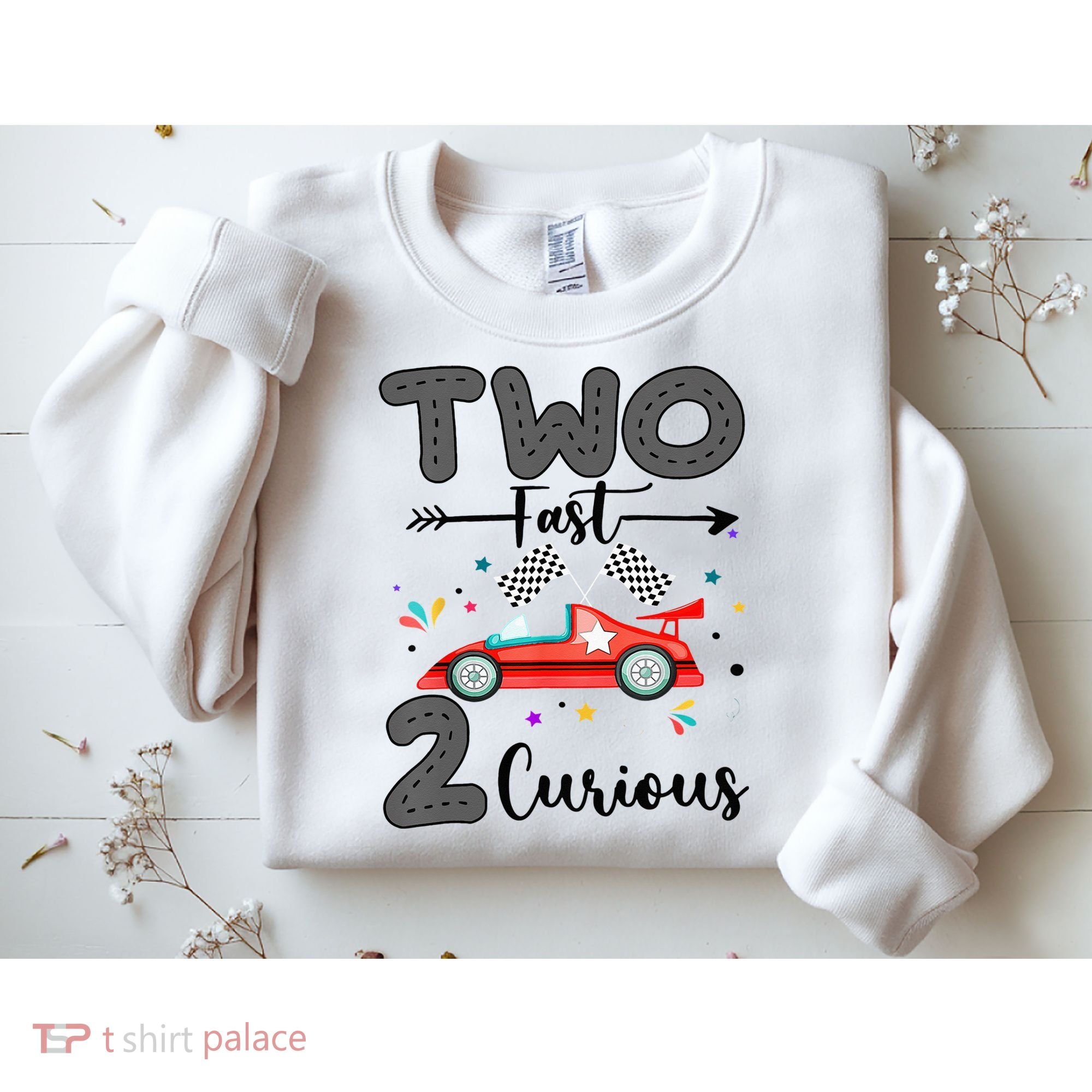Two Fast 2 Curious Racing 2nd Birthday gift Sweatshirt