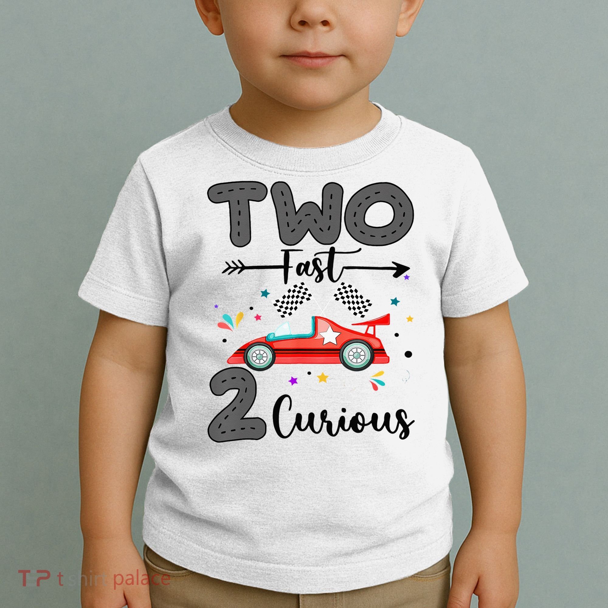 Two Fast 2 Curious Racing 2nd Birthday gift Toddler T-Shirt