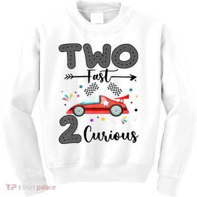 Two Fast 2 Curious Racing 2nd Birthday gift Kids Sweatshirt