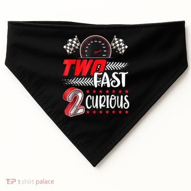 Two Fast 2 Curious Birthday Decorations 2nd Bday USA-Made Doggie Bandana