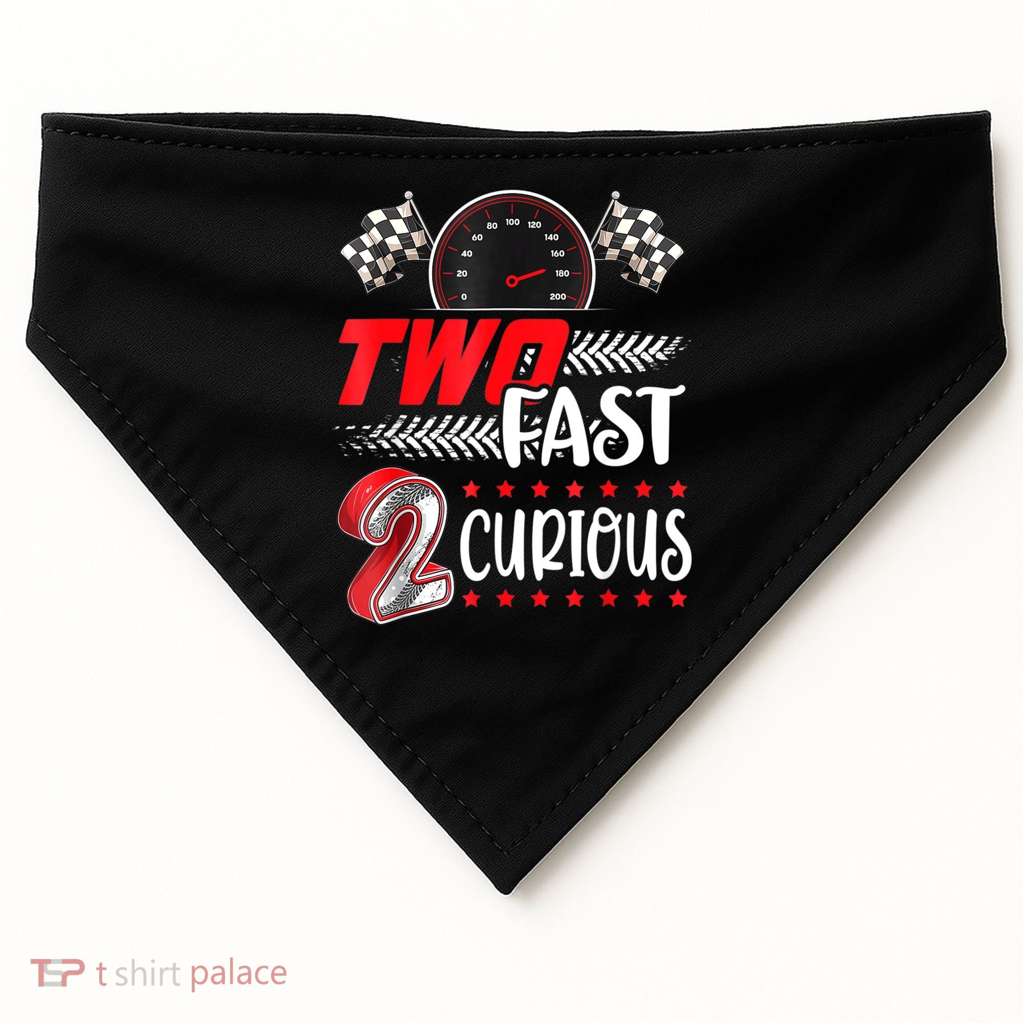 Two Fast 2 Curious Birthday Decorations 2nd Bday USA-Made Doggie Bandana